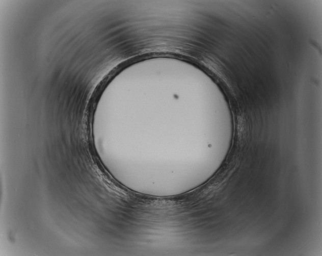 X0000102221068200808081312