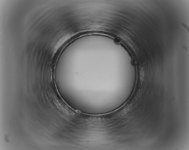 X0000102221069200808081312