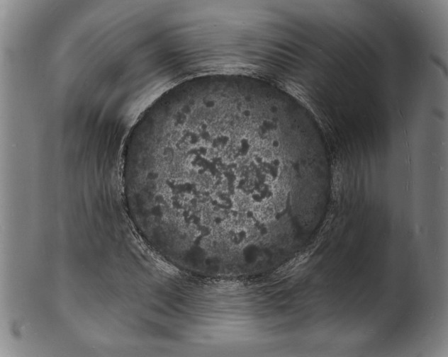 X0000102221071200808081312