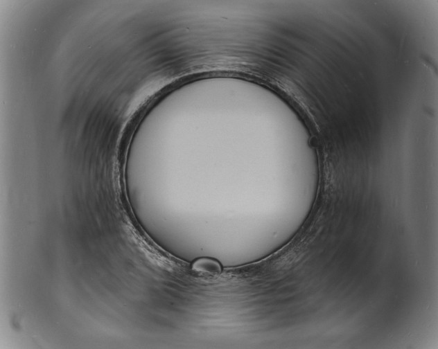 X0000102221072200808081312