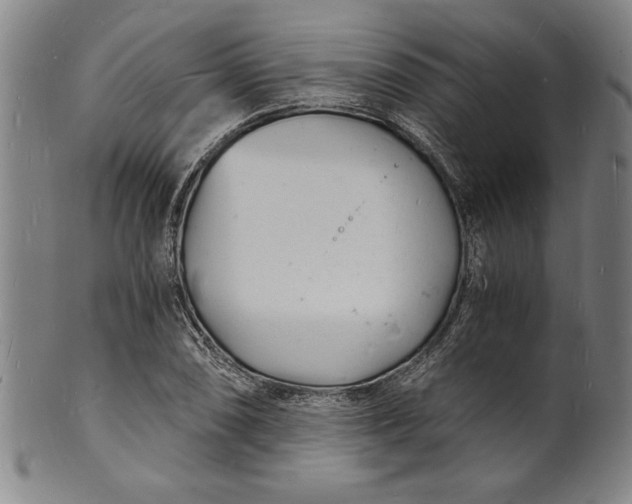 X0000102221074200808081312