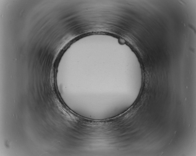 X0000102221076200808081312