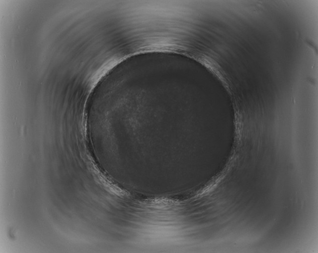 X0000102221077200808081312