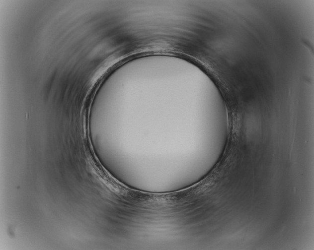 X0000102221078200808081312