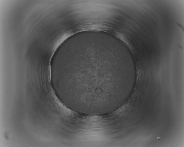 X0000102221079200808081311