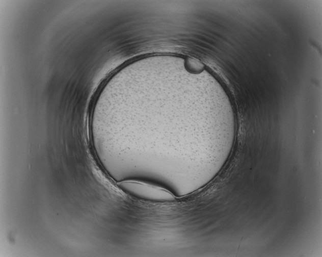 X0000102221080200808081311