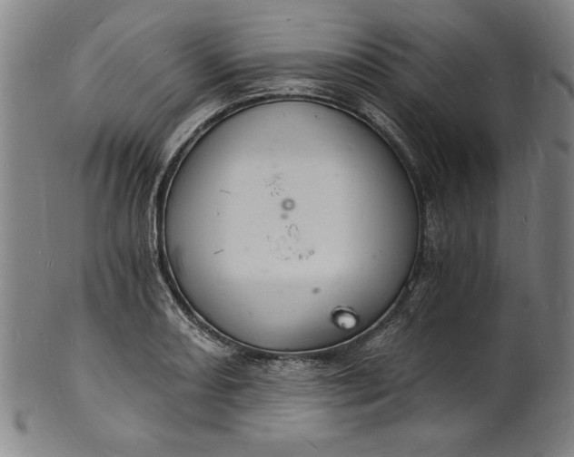 X0000102221082200808081311