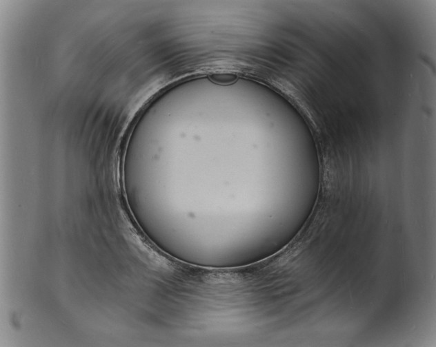 X0000102221083200808081311