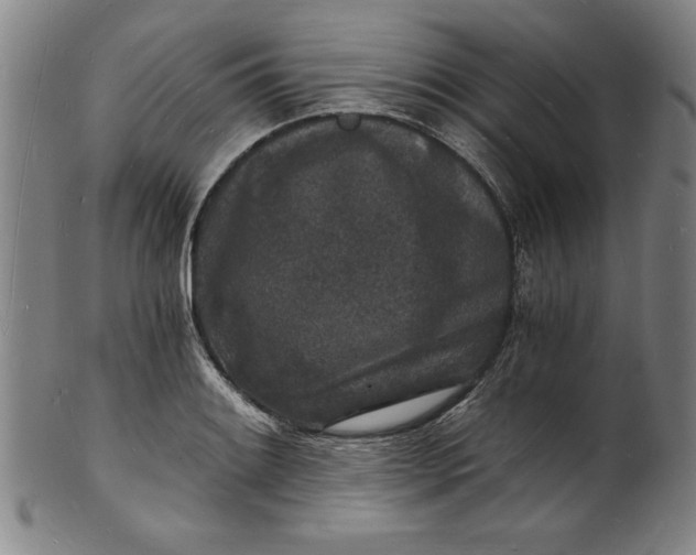 X0000102221084200808081311