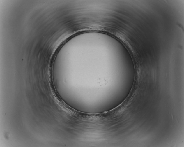 X0000102221085200808081311