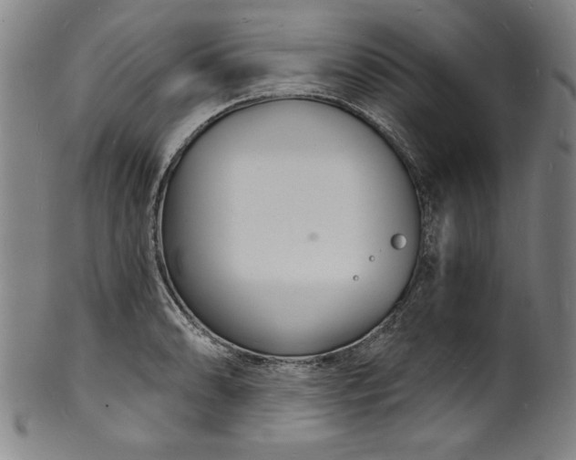 X0000102221086200808081311