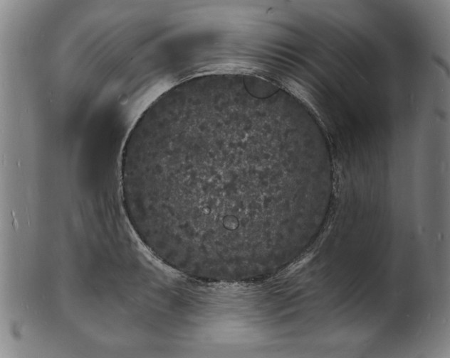 X0000102221087200808081311