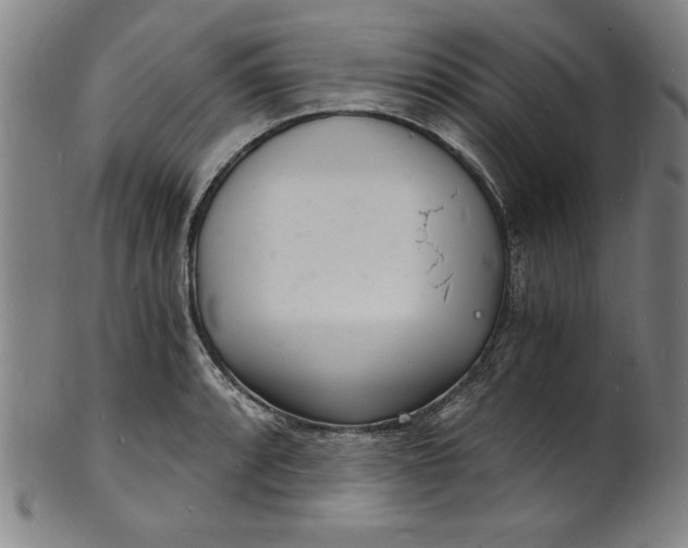 X0000102221088200808081311