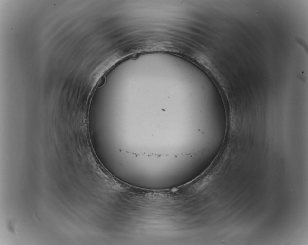 X0000102221089200808081311