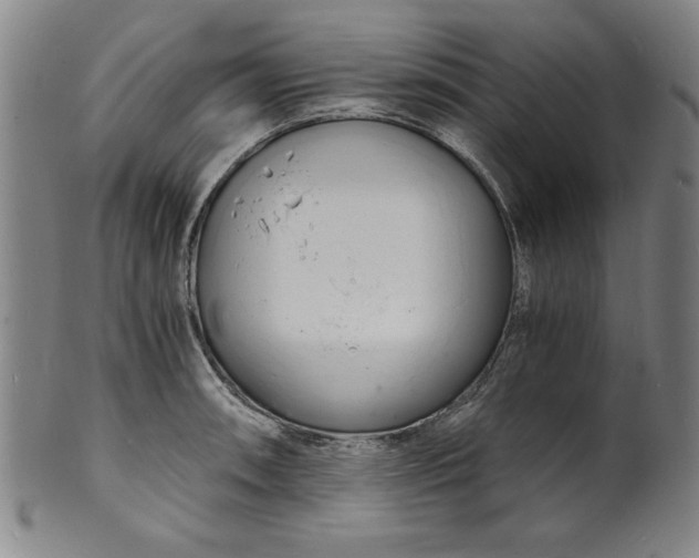 X0000102221090200808081311