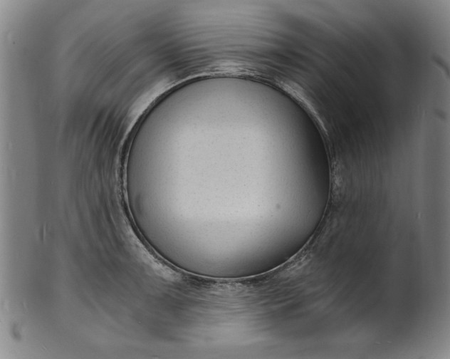 X0000102221091200808081311