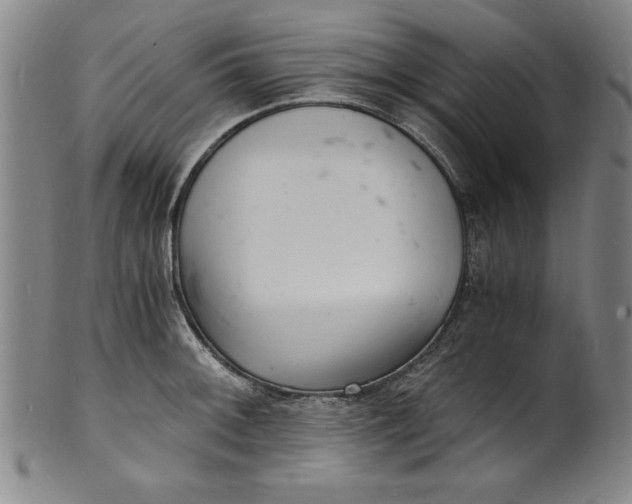 X0000102221092200808081311