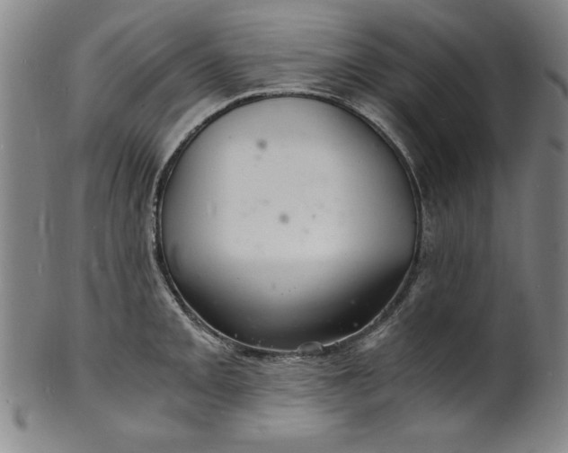 X0000102221093200808081311