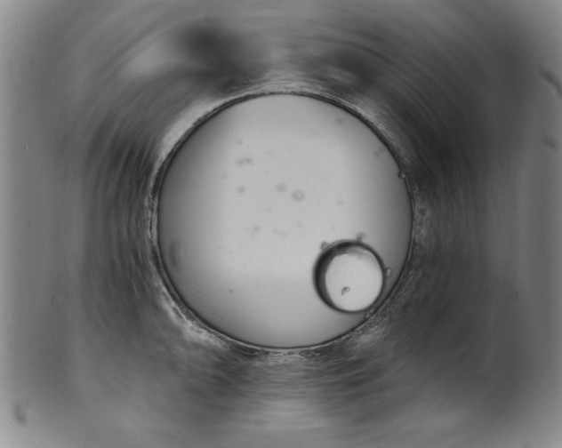 X0000102221094200808081311