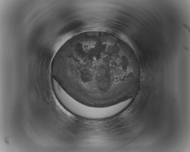 X0000102221095200808081311