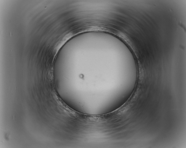 X0000102221097200808081311