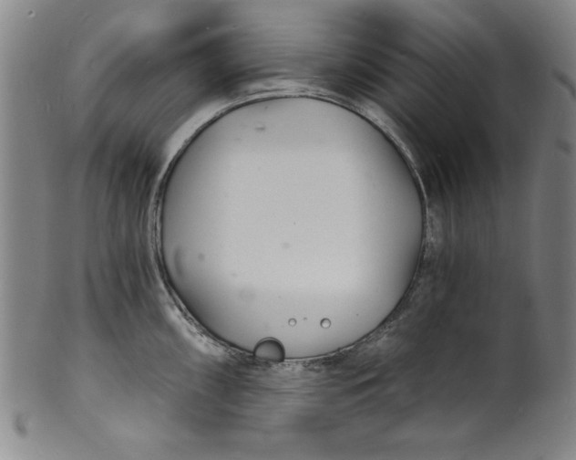 X0000102221098200808081311