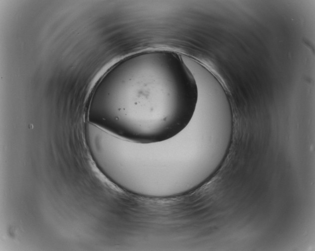 X0000102221100200808081311