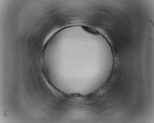 X0000102221101200808081311