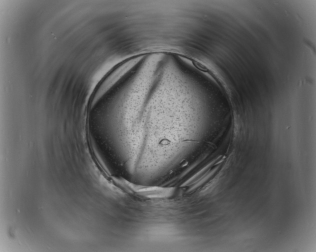 X0000102221102200808081311