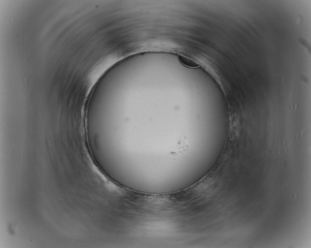 X0000102221103200808081311