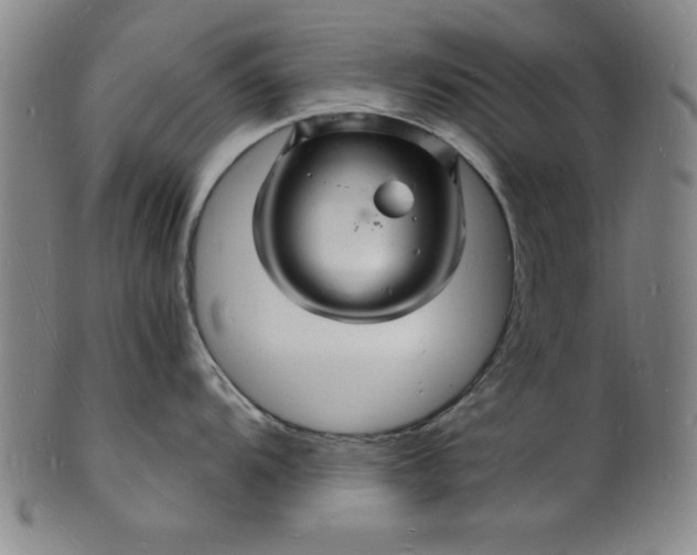 X0000102221104200808081311