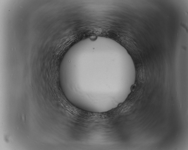 X0000102221105200808081310