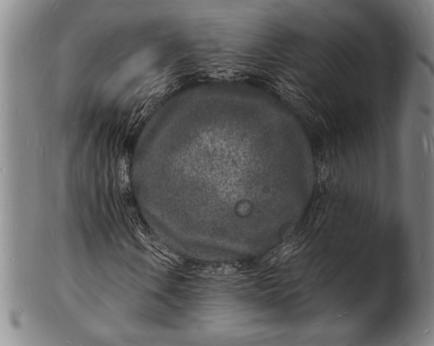 X0000102221106200808081310