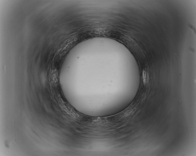 X0000102221107200808081310