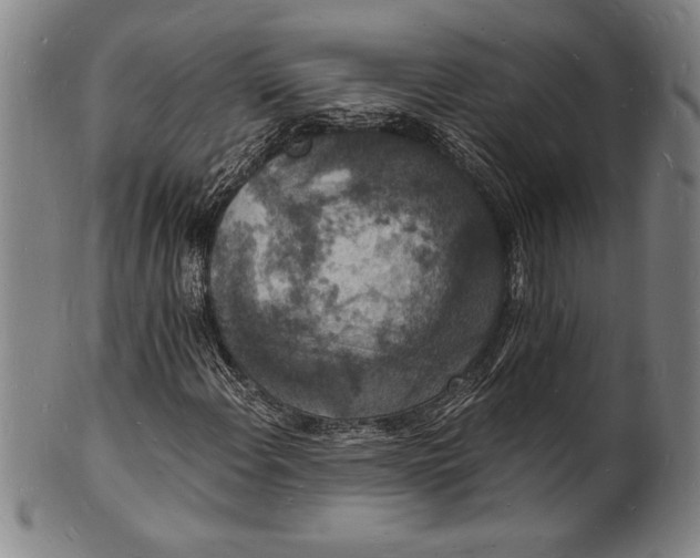 X0000102221108200808081310