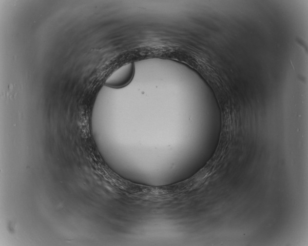 X0000102221109200808081310