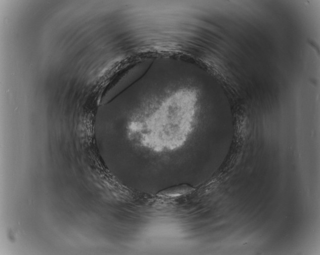 X0000102221110200808081310