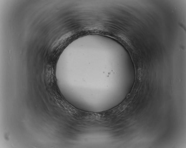 X0000102221111200808081310