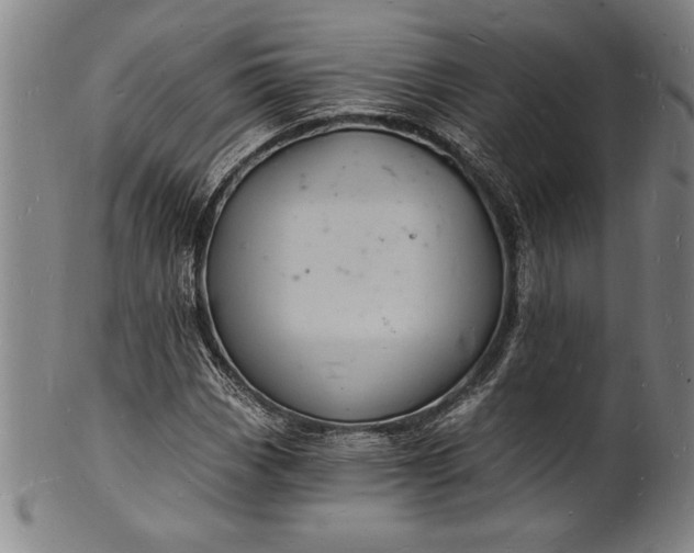 X0000102221113200808081310