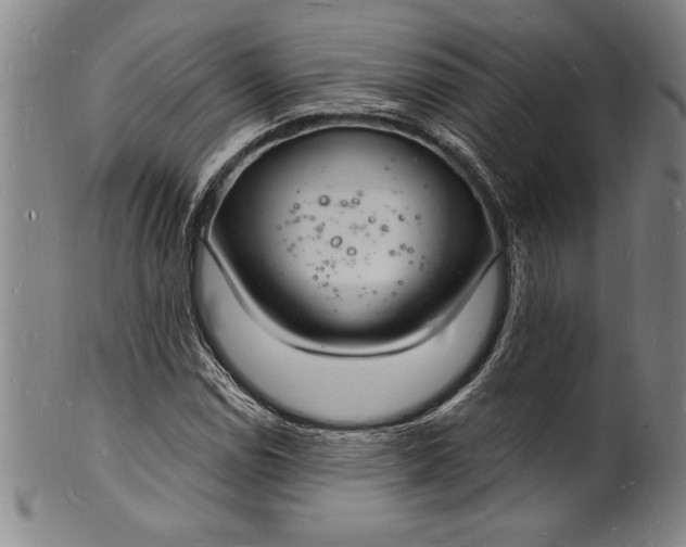 X0000102221114200808081310