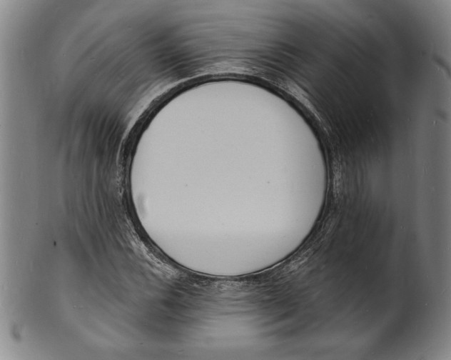 X0000102221116200808081310