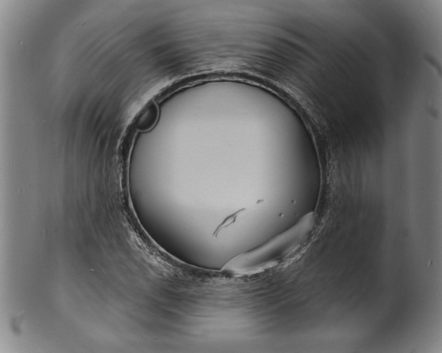 X0000102221118200808081310