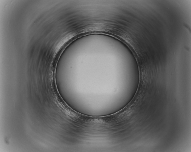 X0000102221119200808081310