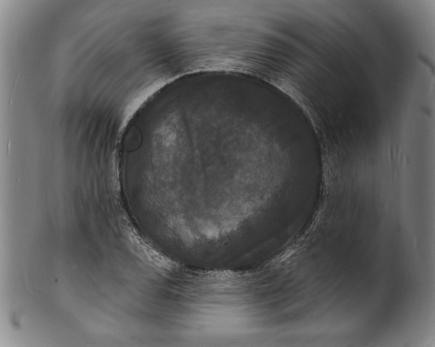 X0000102221120200808081310