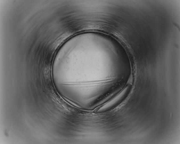 X0000102221121200808081310