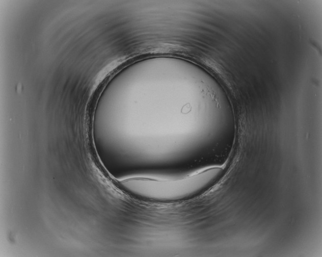 X0000102221122200808081310