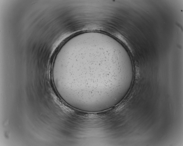 X0000102221124200808081310