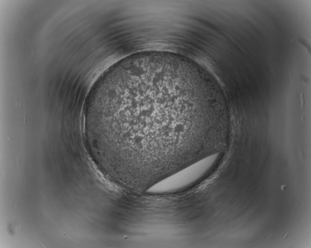 X0000102221125200808081310