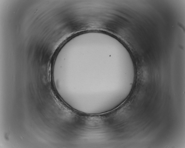 X0000102221126200808081310