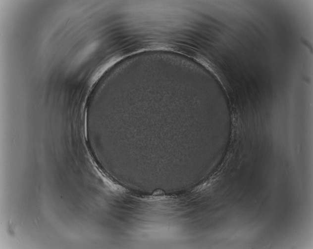 X0000102221127200808081310